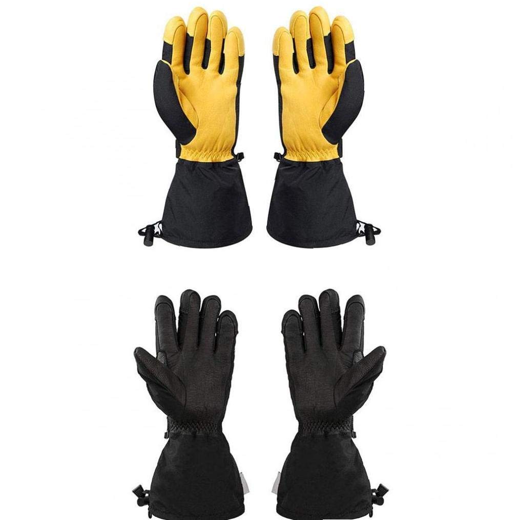 Beste Ski Handschoenen 2025? Voor Heren en Dames de Top 5! - The Outdoor Guide