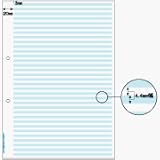 hisago Multi Printer 帳票 A4 tateyokoamiburu- 2 Hole (100 Pieces) bp2022