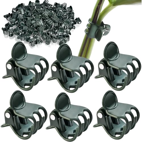 Image of 30 PCS Plant Support Clips for Climbers, Orchids, Vines and Stems | 30 reusable plant clips gently support orchid stems, climbing vines and flower stalks to help plants grow upright