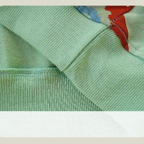 Boys Comfy Cotton Fall Sets Toddler Kids Cute Cartoon Graphic Outfits Crewneck Long Sleeve Shirts + Sweatpants Drawstring 7