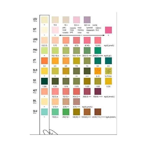 Areta 10 Parameter (10SG) Urinalysis Reagent Test Strips,50 Strips/Bottle Areta 10 Parameter (10SG) Urinalysis Reagent Test Strips,50 Strips/Bottle