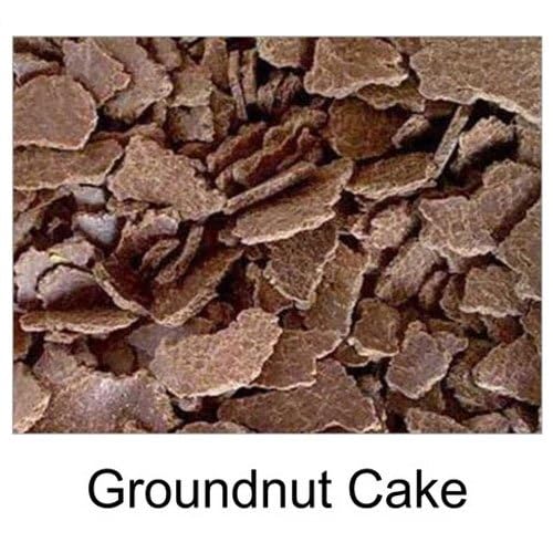 Image of Natural Ground nut /Peanut Cakes 1kg groundnut cake, groundnut cake for plants, groundnut oil cake for plants