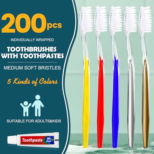 Cepillos de dientes manuales de colores con pasta para un día a día activo 2