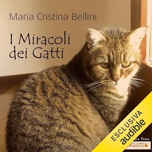 I miracoli dei gatti Titelbild