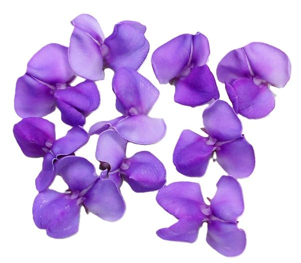 ベルフラワー('11米) ベルフラワー(´11米)