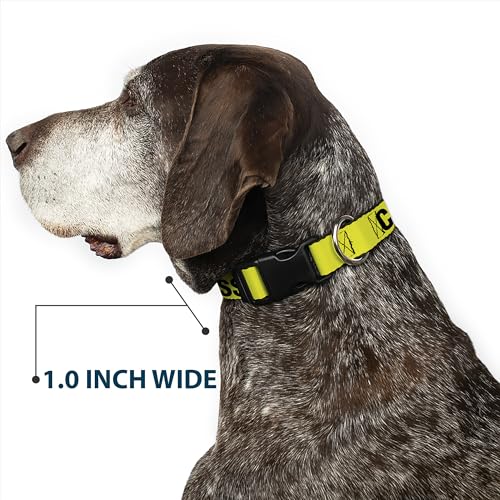 Collar de perro Crime Scene Do Not Cross ajustable de 9 a 15 pulgadas 7