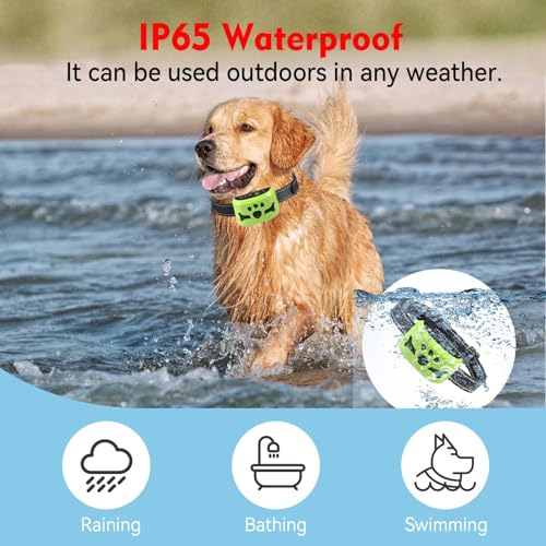 BXQ Bark Collar Expert Use