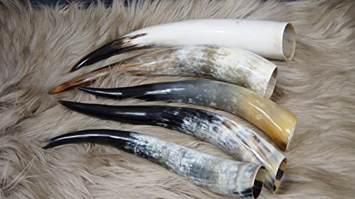 bokke Cuerno de Toro Pulido, Natural Cuerno, 50 – 60 cm, 60 x 25 cm