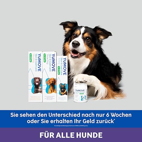 YuMOVE Haut Und Fell Hund Öl 500 ml - Für Showhunde & alle Rassen - Fördert glänzendes Fell und gesunde Haut bei Hunden - Mit Omega-3 und -6 - Kaltgepresste Öle für natürliche Hautpflege bei Hunden