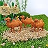 Product Photo 5