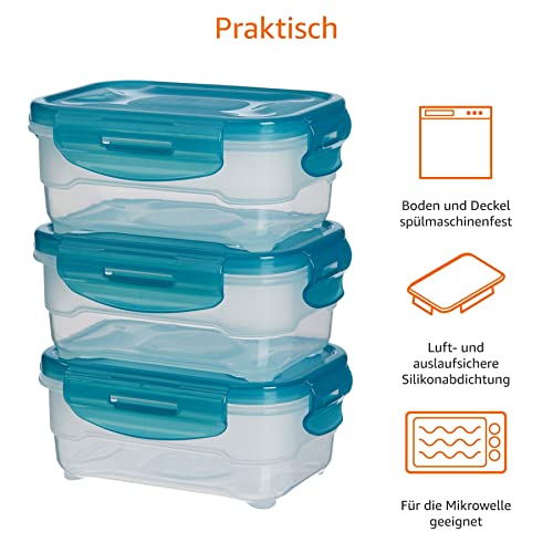Amazon Basics Gefrierbehälter im Set, mit Deckel, luftdicht, auslaufsicher, stapelbar, für Kühlschrank/Gefriertruhe, BPA-frei, Kunststoff, mikrowellen- und spülmaschinenfest, 3 x 0.6 l, hellblau