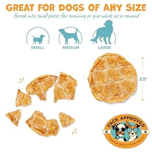 Chicken chips for dogs  crunchy chicken dog treats for training  single ingredient dog treat  dried chicken treats for dogs  100 chicken breast dog treats all natural  12oz   cucciolini doodles