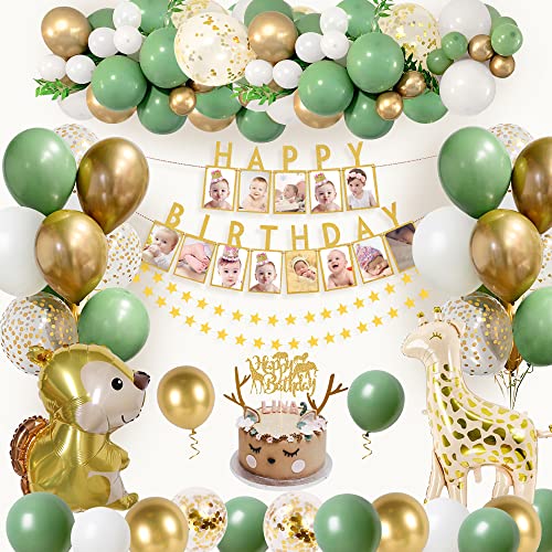 Jungle Décorations Anniversaire de Fête, Safari Decoration Garcon Fille, Bannière photo, Vert Blanc et or Ballon pour fête Garçon Fille Bébé, YD-893 Cover