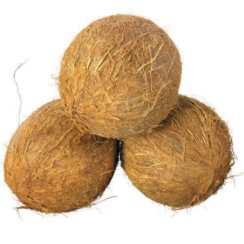 ARL International Premium Organic Fresh Kerala Raw Coconut/Thenga For Cooking And For Pooja (Brown, Small) (5 Quantity) (B08X1DKKT7) Amazon Price History, Amazon Price Tracker