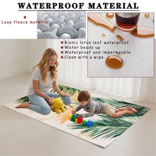Tapis salon imperméable 60x90 lavable en machine style rectangulaire moderne