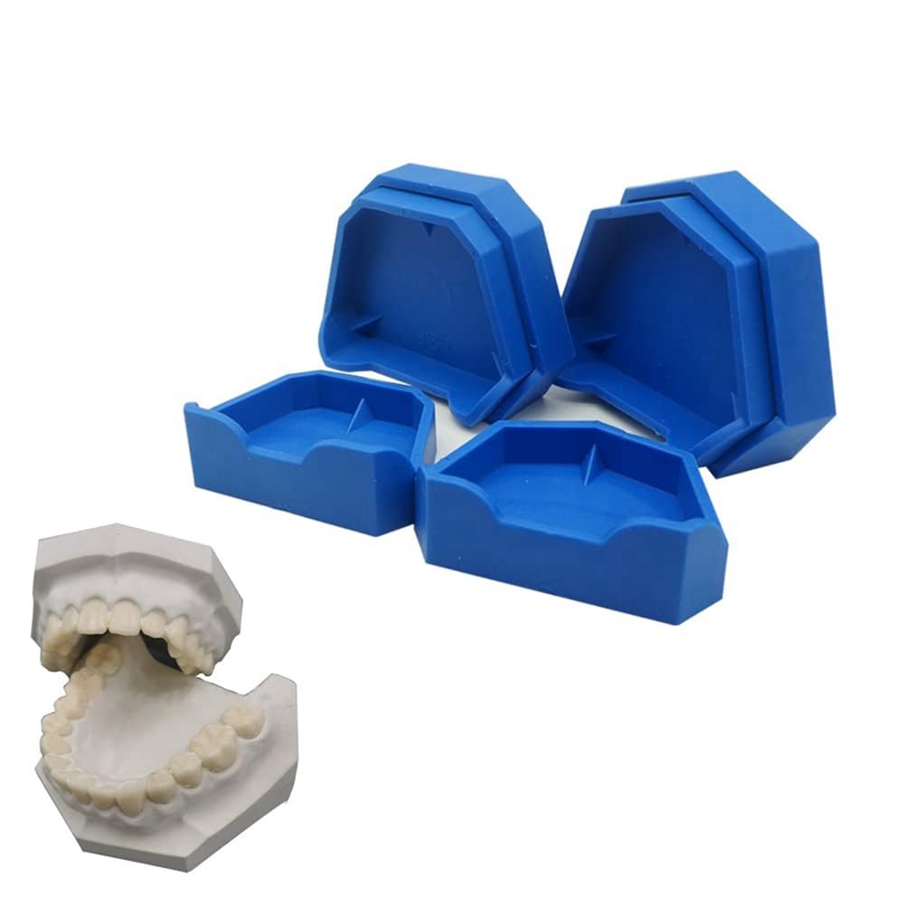 Ginobili Blue Silica Gel Lot de 6 moules de base pour moulage de laboratoire en plâtre