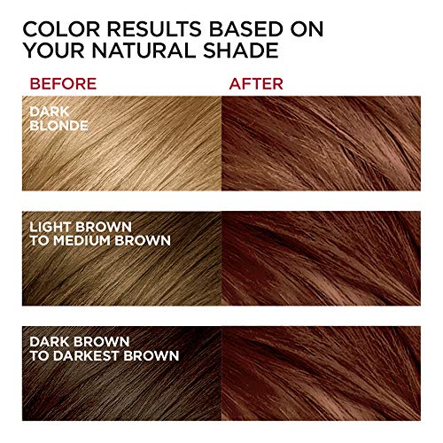 Image of L'Oreal Paris Excellence Creme Permanent Hair Color, Medium Red Brown (3 Count)