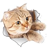 Auch im Kindergarten ein sehr schöner Blickfang für die Kinder, Erzieher und Eltern