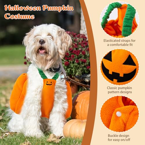 Winmany Süßes Kürbis-Kostüm für kleine Hunde und Katzen, leichtes Haustier-Halloween-Outfit, lustige Herbstkleidung für Haustiere, Party, Cosplay, Fotoshooting, Größe M
