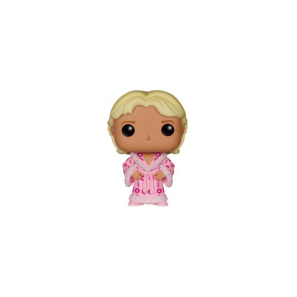 Amazon.com: FunKo POP WWE Nature Boy Ric Flair | Target Exclusive