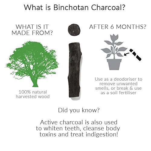 Black and Blum Eau Good Nero - Bottiglia in Tritan...