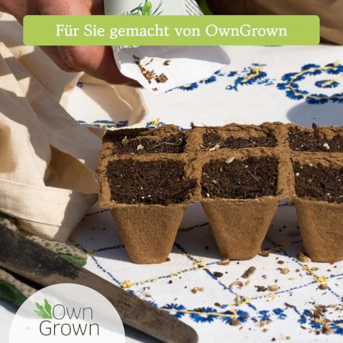 Winter Gemüse Samen Set : 8 Sorten Saatgut Set für die Wintergemüse Anzucht – Porree Samen, Rotkohl Samen, Rosenkohl Samen, Schwarzwurzel Samen, Spinat Samen, Lauch Samen – OwnGrown Samen Winterhart