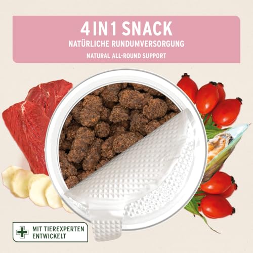 AniForte 4in1 Snack für Hunde 300g - Natürliche Rundumversorgung für Gelenke, Immunsystem, Verdauung, Fell & Haut, Magen & Darm, getreidefrei, bewährt mit Grünlippmuschelpulver, Inulin, Hagebutte