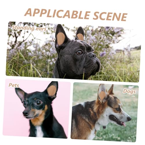 5 paires de patchs d'oreille pour chiot et outils de support