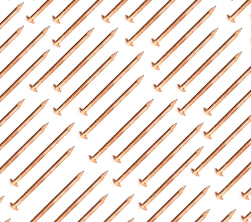 Design61 50 chiodi in ferro, 2,0 x 51 mm, con testa conica, in rame, isolanti