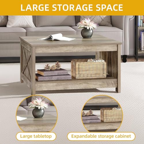DWVO Square Coffee Table for Living Room, Farmhouse Coffee Table with Storage, 2-Tier Wood Coffee Tables Center Table with Half Open Storage Compartment, Rustic Grey