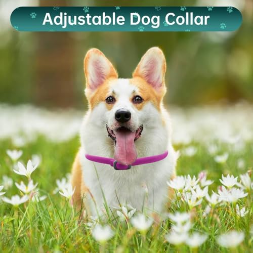 BKEPDY Hundehalsband 2 Stück Effektiver Schutz vor Ungeziefern Wasserdicht Einstellbares Floh und Zeckenschutz für Hunde Alle Größen und Rassen (Rosa)