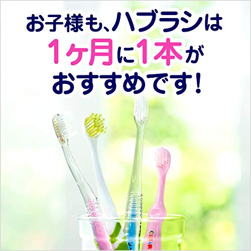最安値 花王 クリアクリーン キッズハブラシ 0ー3才向け 6本 花王 歯ブラシ 子供用 の価格比較