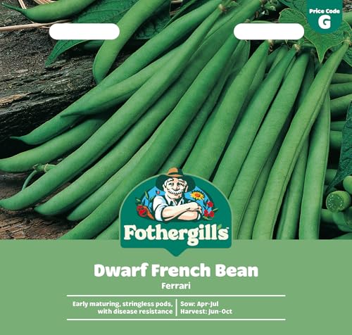 Fothergills Dwarf French Bean Ferrari Vegetable Seeds 100 Seeds Sow: Apr-Jul Green