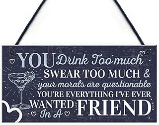 RED OCEAN Funny Best Friend Friendship Sign Drink Too Much Alcohol Gin Vodka Birthday Gift Plaque