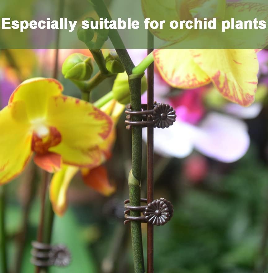 Miniatura 2 de Clips de orquídea para plantas (100, verde) para plantas trepadoras pequeñas y medias, plantas de vid y plantas de tallo único