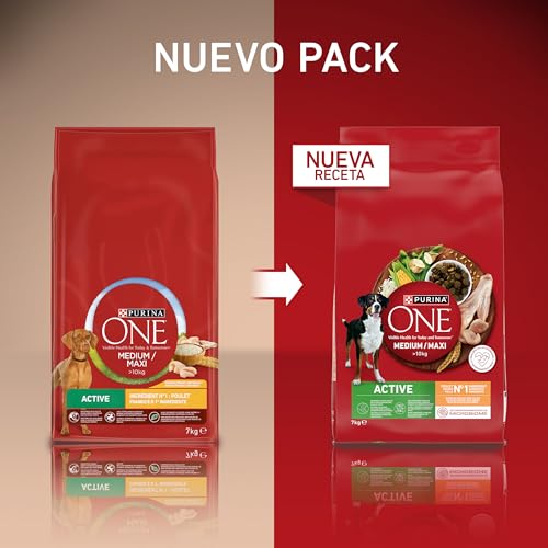 PURINA ONE Medium/Maxi  10 kg Active | Trockenfutter reich an Huhn für Erwachsene Hunde | 7 kg Beutel