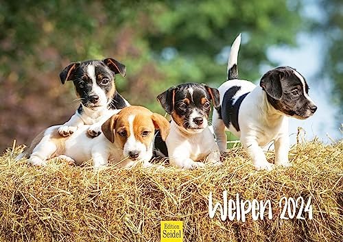 Ardilla Premium Calendario 2023, DIN A3, Calendario De Pared Natural