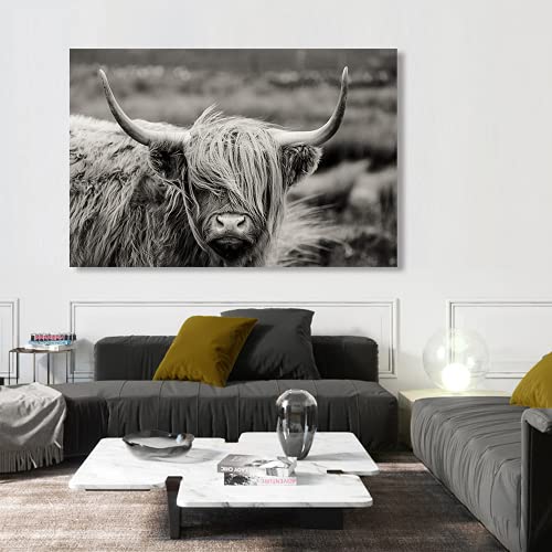 Tableau vache écossaise affiche yak décoration murale salon