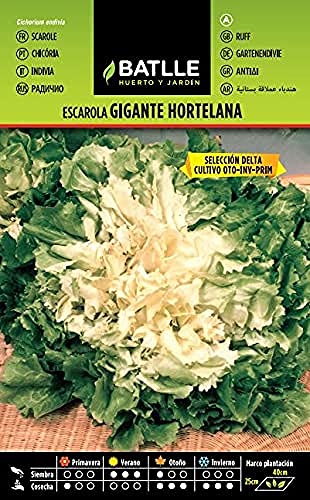 Semillas Batlle Escarola Gig. Hortelana Sel. DELTA