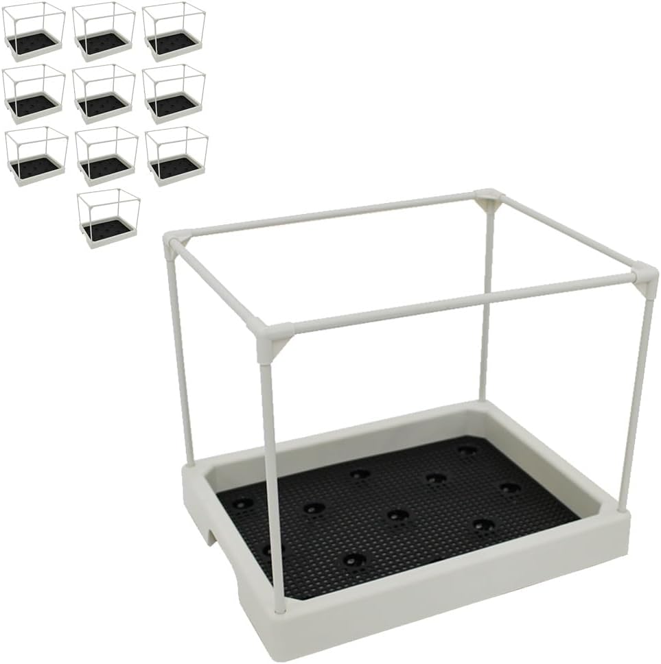 黒松 石抱き根上がり 盆栽 8号鉢つき ねじり 黒松 盆栽 黒松 石抱き根上がり 盆栽 8号鉢つき ねじり 黒松 盆栽