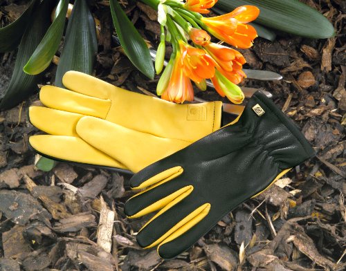 WAGNER Gartenhandschuhe der Extraklasse für Herren - DRY TOUCH - RoyalHorticulturalSocietyAuszeichnung