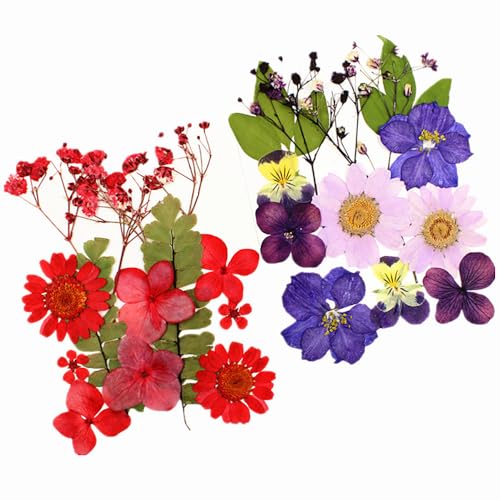 Flores secas prensadas reales, kit 12 piezas color rosa miniatura 4