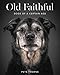 Old Faithful: Dogs of a Certain Age