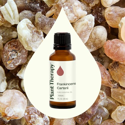 Aceite Esencial Frankincense Carterii 30 mL miniatura 3