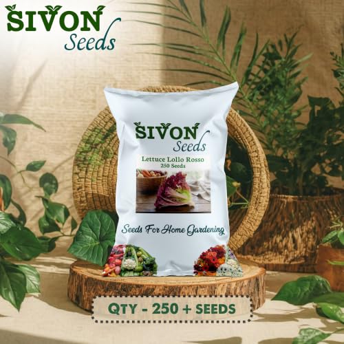 Image of SIVON Lettuce (Red) Lollo Rosso (250 Seeds) Exotic Vegetable Seeds for Home Garden, Organic & Hybrid, Perfect for Home Gardening, Planting For Pots and Patio
