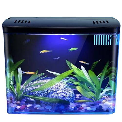 Fish-Tank-13-Gallon-Small-Aquarium-Clear-Aquarium-Tank-with-3-Layer-Filter--LED-Light-Self-Cleaning-Desktop-Fish-Tank-Home-Decor-for-Betta-Fish-Shrimp-Goldfish-Black-Aquarium-Tank-1-Gallon-Fish-T