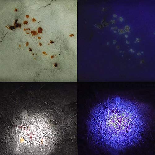 Deer Hunting Blood Tracking Lights UV Red Blue Blacklight Green Flashlight with 18650 Battery and Pressure Switch - Thumbnail 6