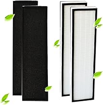 IZSOHHOME Compatible with GermGuardian FLT4825 True HEPA Air Purifier Filter B, Models AC4825 AC4850PT AC4900CA AC4820 PureGuardian AP2200CA Carcon Filter(2packs)