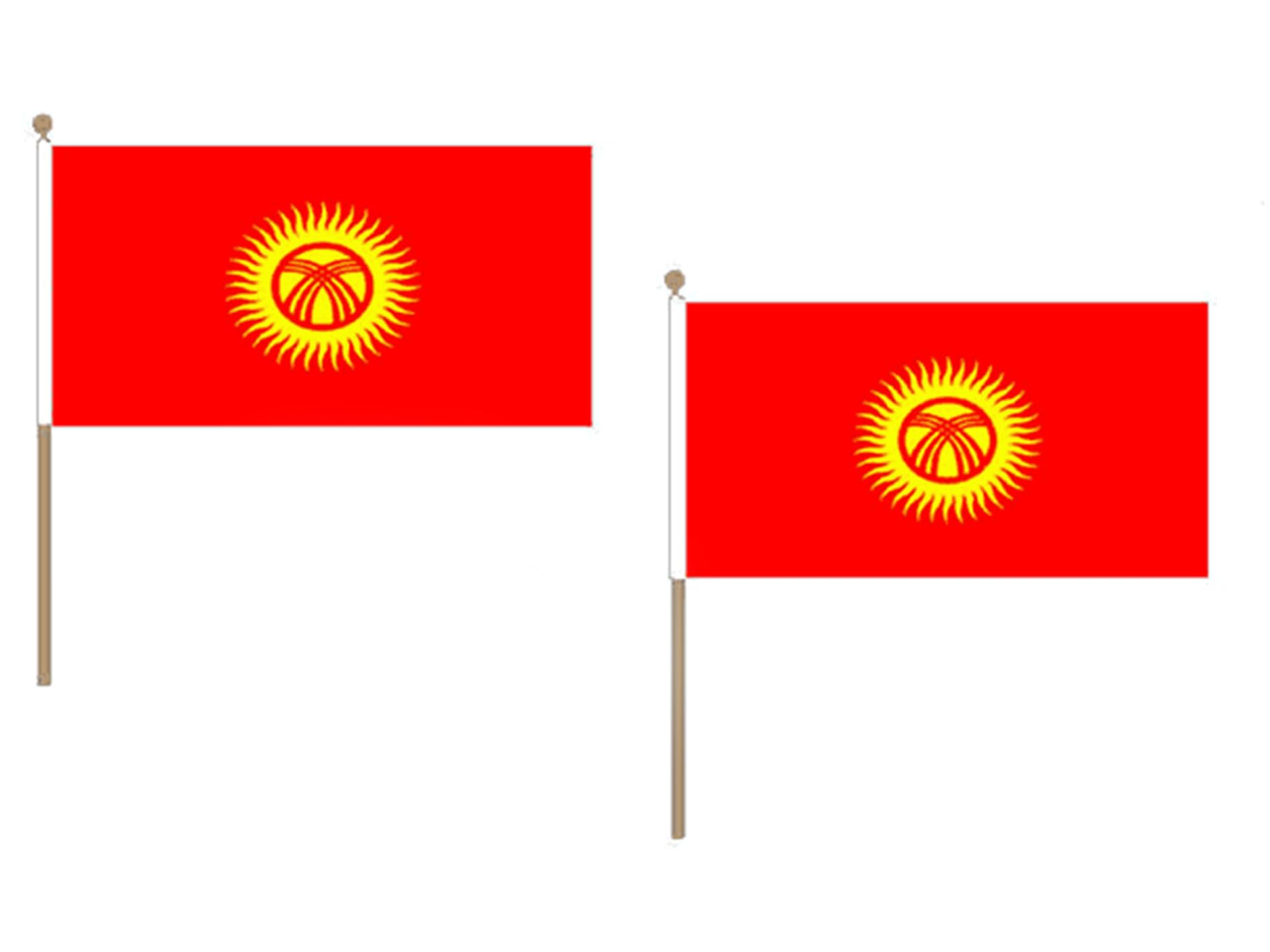 Drapeau Kirghizstan 45x30cm résistant avec hampe bois pour éviter les déchirures
