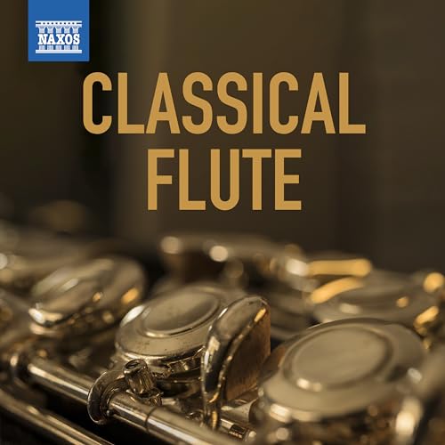 Patrick Gallois & Svenska Kammarorkestern